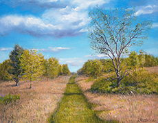 Nature Path by David John Dietrich