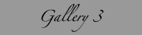 gallery 3